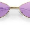 CEREMONYT Sunglasses Cat Eye Fashion Designer Sunglasses  Small Petals Shape Arc Temple Design B2298