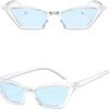 CEREMONYT Sunglasses Cat Eye Small Cat Eye Sunglasses for Men and Women Skinny  Frame Y2K Shades Trendy Fun Fashion Glasses