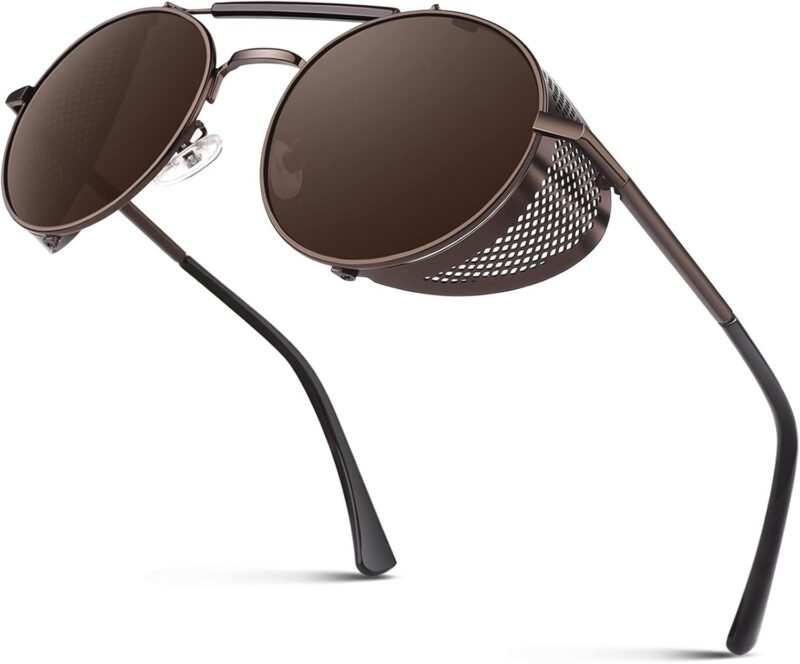 CEREMONYT Sunglasses Round E72 Retro Steampunk Style Inspired Round Metal Circle Polarized Sunglasses for Women Men