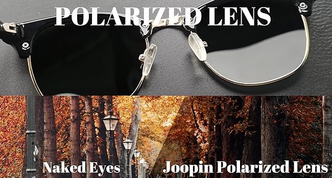 polarized lens